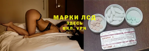 индика Алзамай
