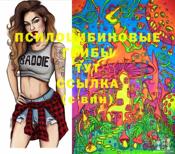 индика Алзамай
