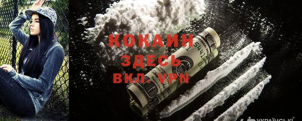 индика Алзамай