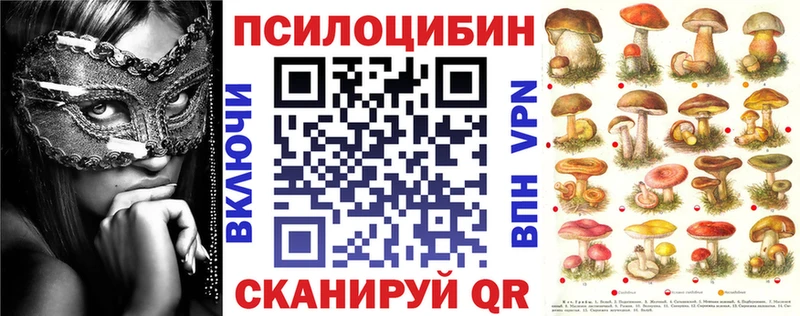 Псилоцибиновые грибы мицелий  где можно купить   Северская 